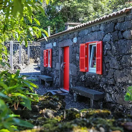 Adega Baia Azul - The Essence Of Pico Villa Sao Roque do Pico Exterior photo