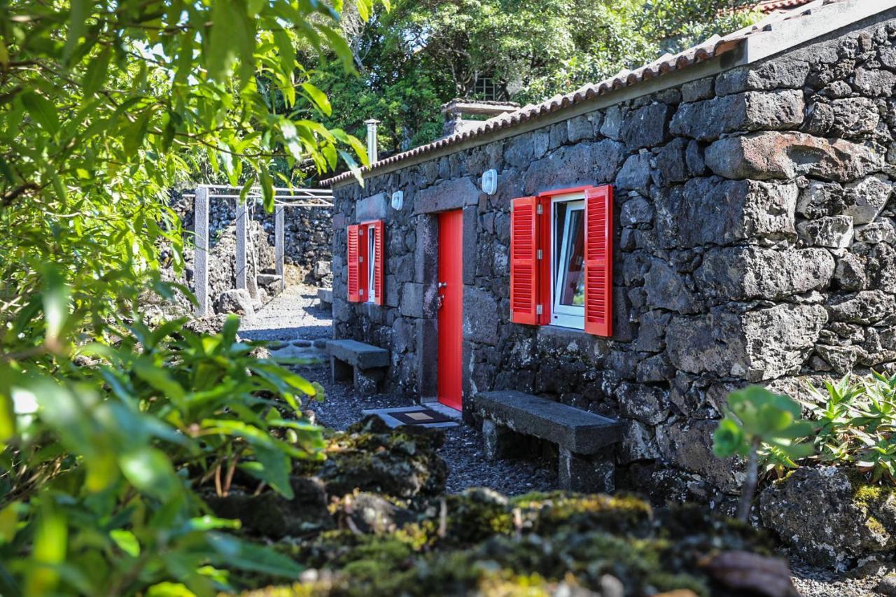 Adega Baia Azul - The Essence Of Pico Chalet Sao Roque do Pico