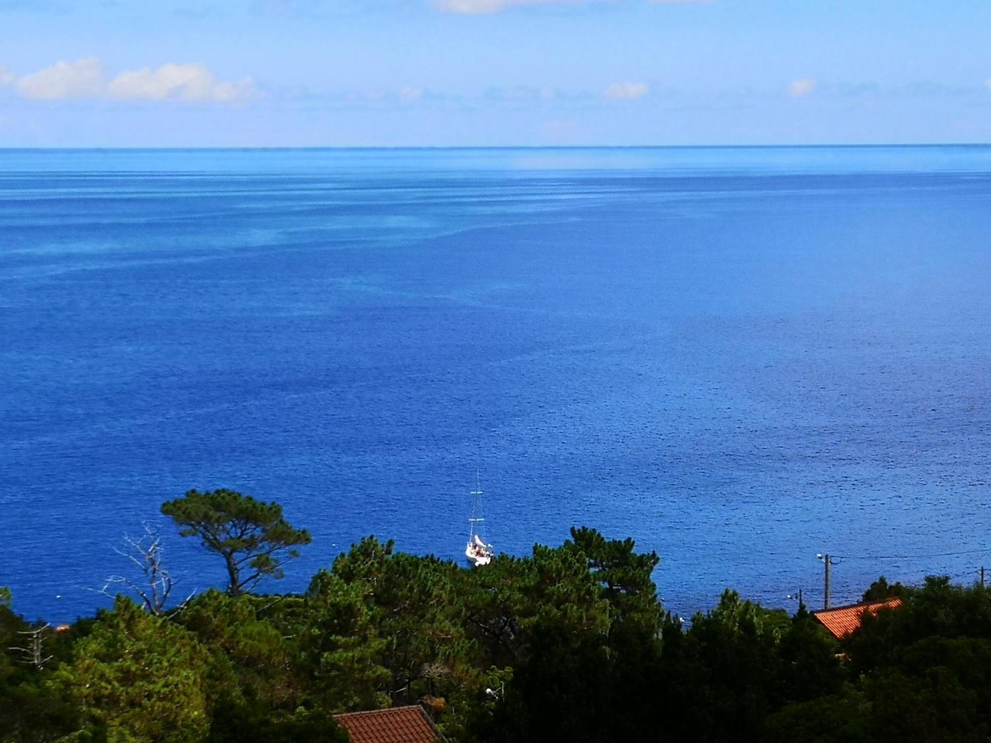 Adega Baia Azul - The Essence Of Pico